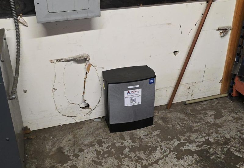 Data Shows Modern Pests’ SMART Rodent Control Prevented Millions of Rats in Somerville, Quincy, and Greater Boston