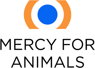 Inside the Egg Industry: Mercy For Animals Investigation Documents the Killing of Newly Hatched Male Chicks